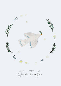 Dove Taufe