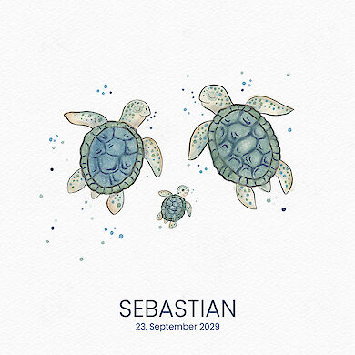 Turtle 3