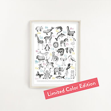 Affiche ABC lettres colorées A4 – Limited Color Edition